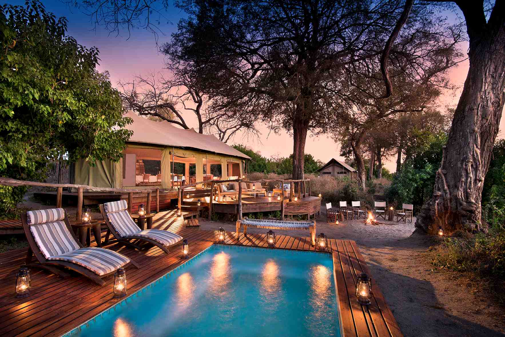 Linyanti Ebony | Chobe National Park