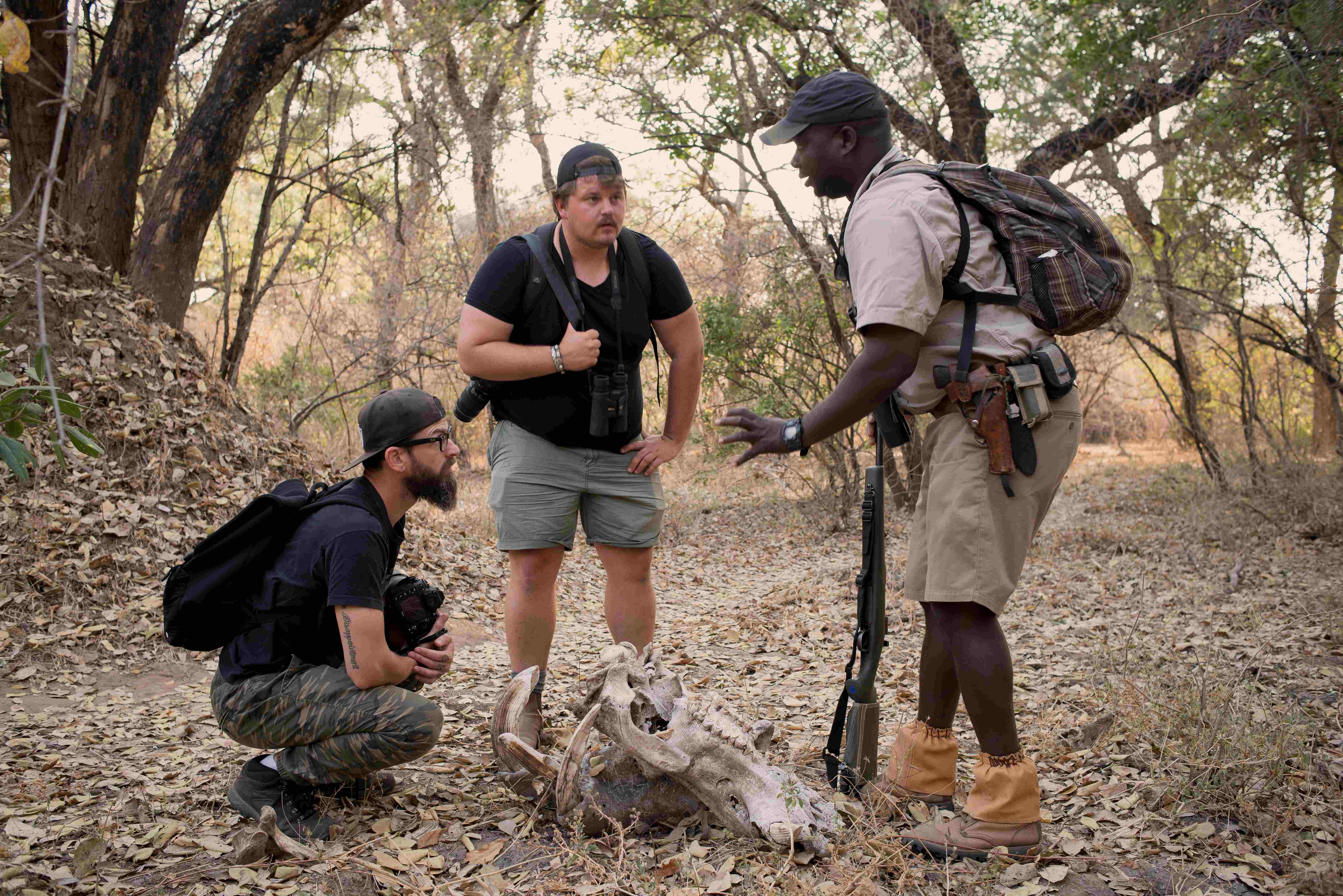 Walking Safaris