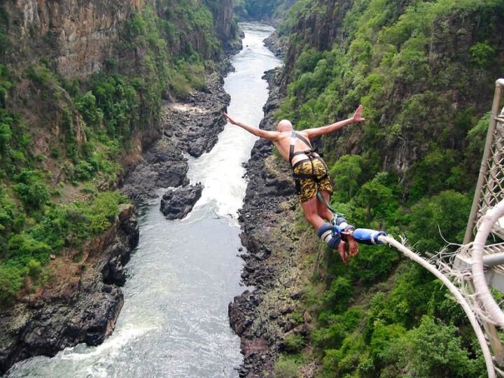 bungee
